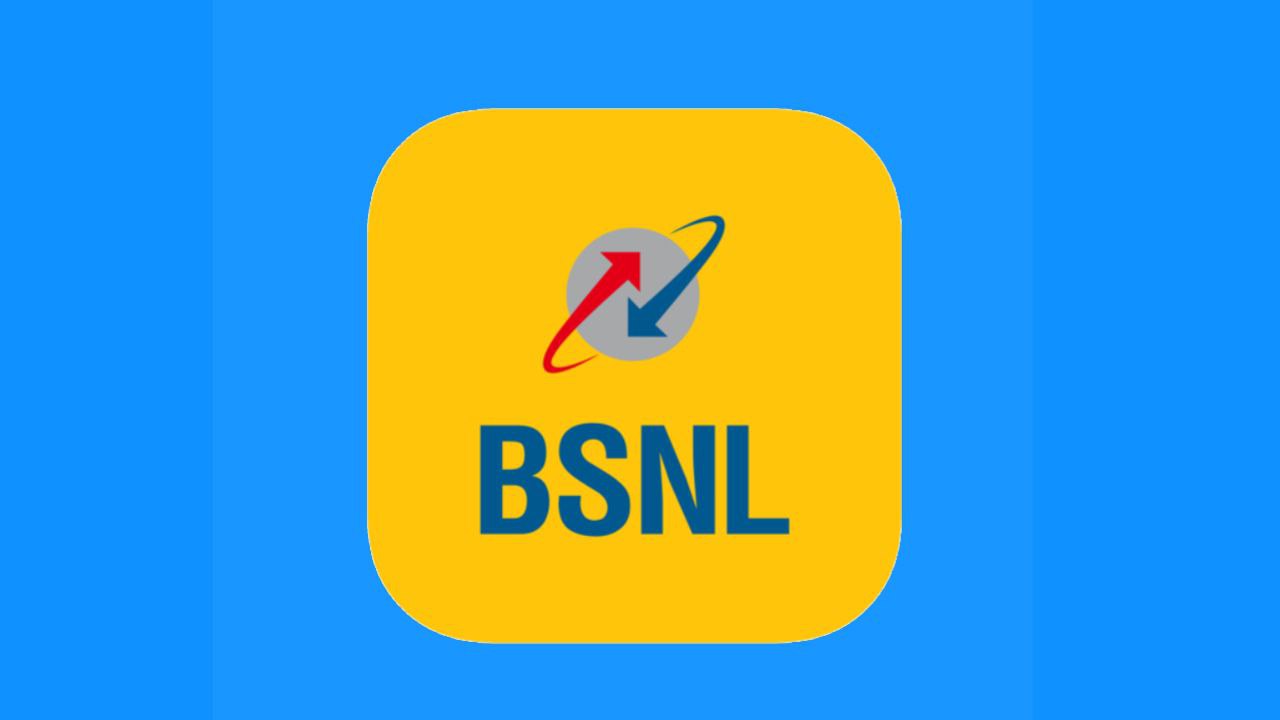 Can BSNL survive in near future