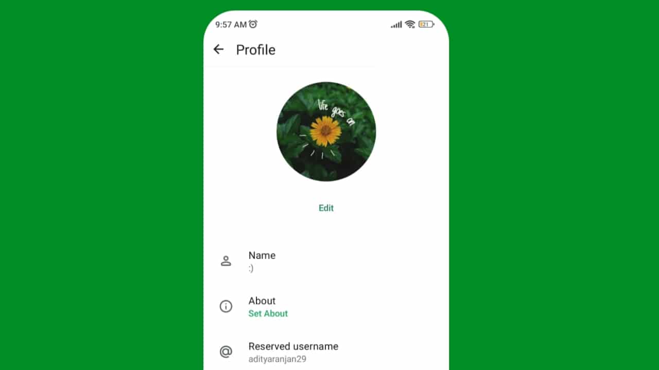 How Will the WhatsApp Username Feature Work?